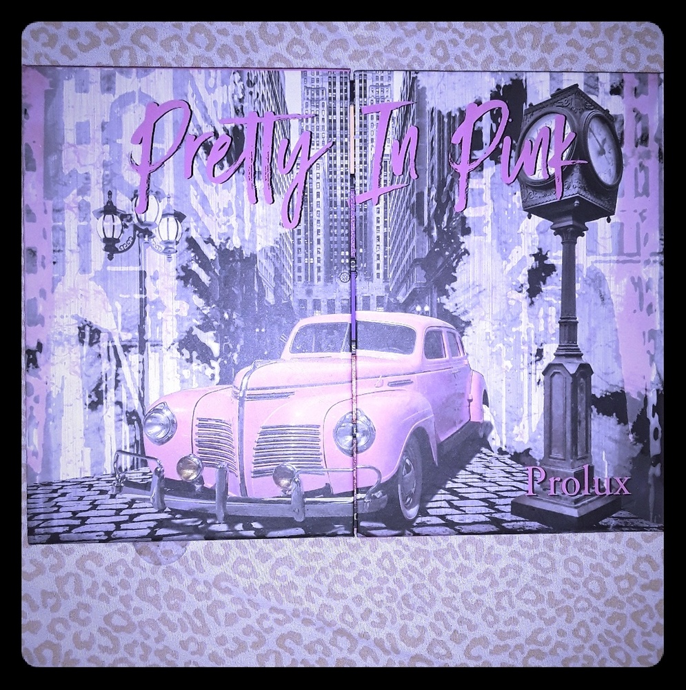Pretty In Pink HUGE Makeup Pallet!!!